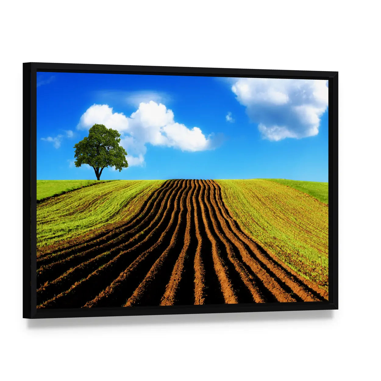 Ploughed Field with Lone Tree Canvas Wall Art, framed canvas in a black floater frame, angled product view