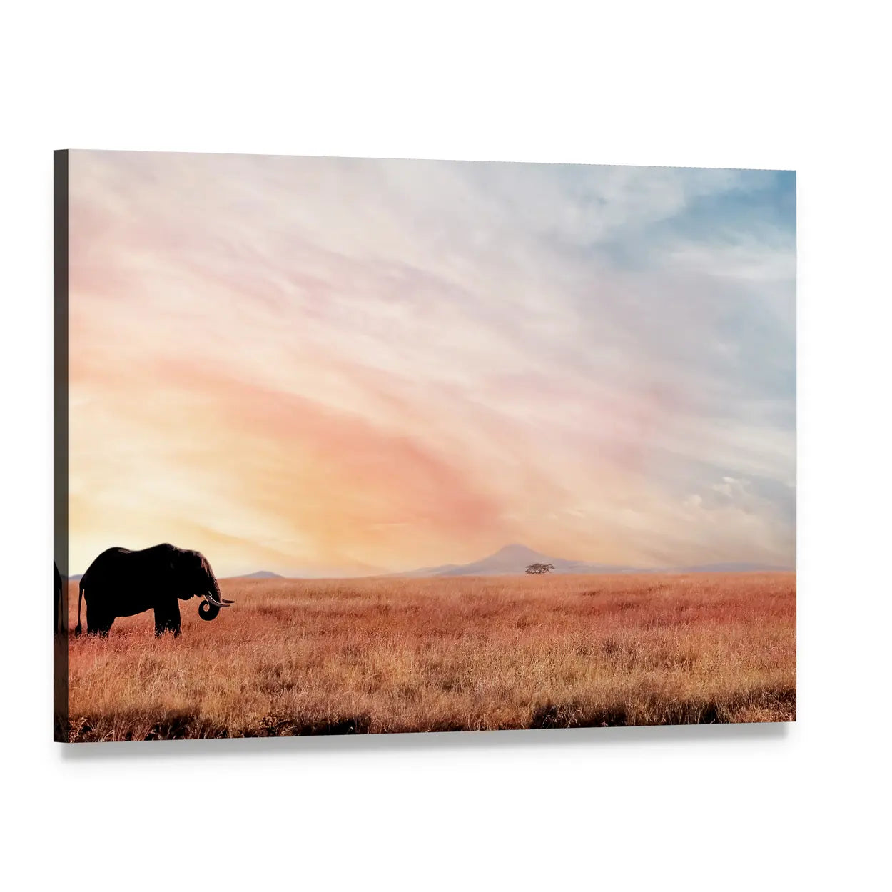 Lonely Elephant in Savannah Sunset Canvas Wall Art, single panel gallery wrapped canvas, angled product view