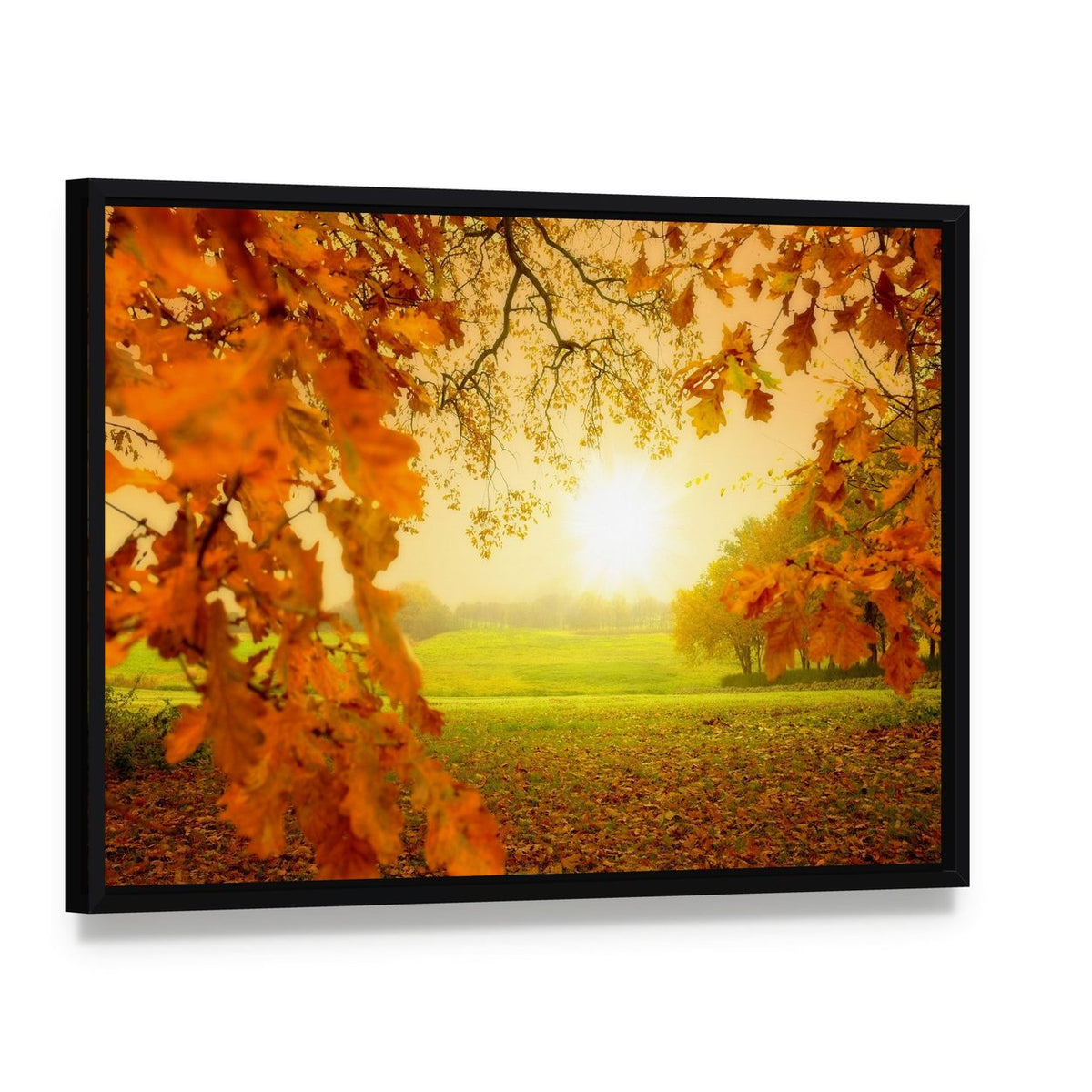 Autumn Forest with Sunlight Canvas Wall Art, framed canvas in a black floater frame, angled product view