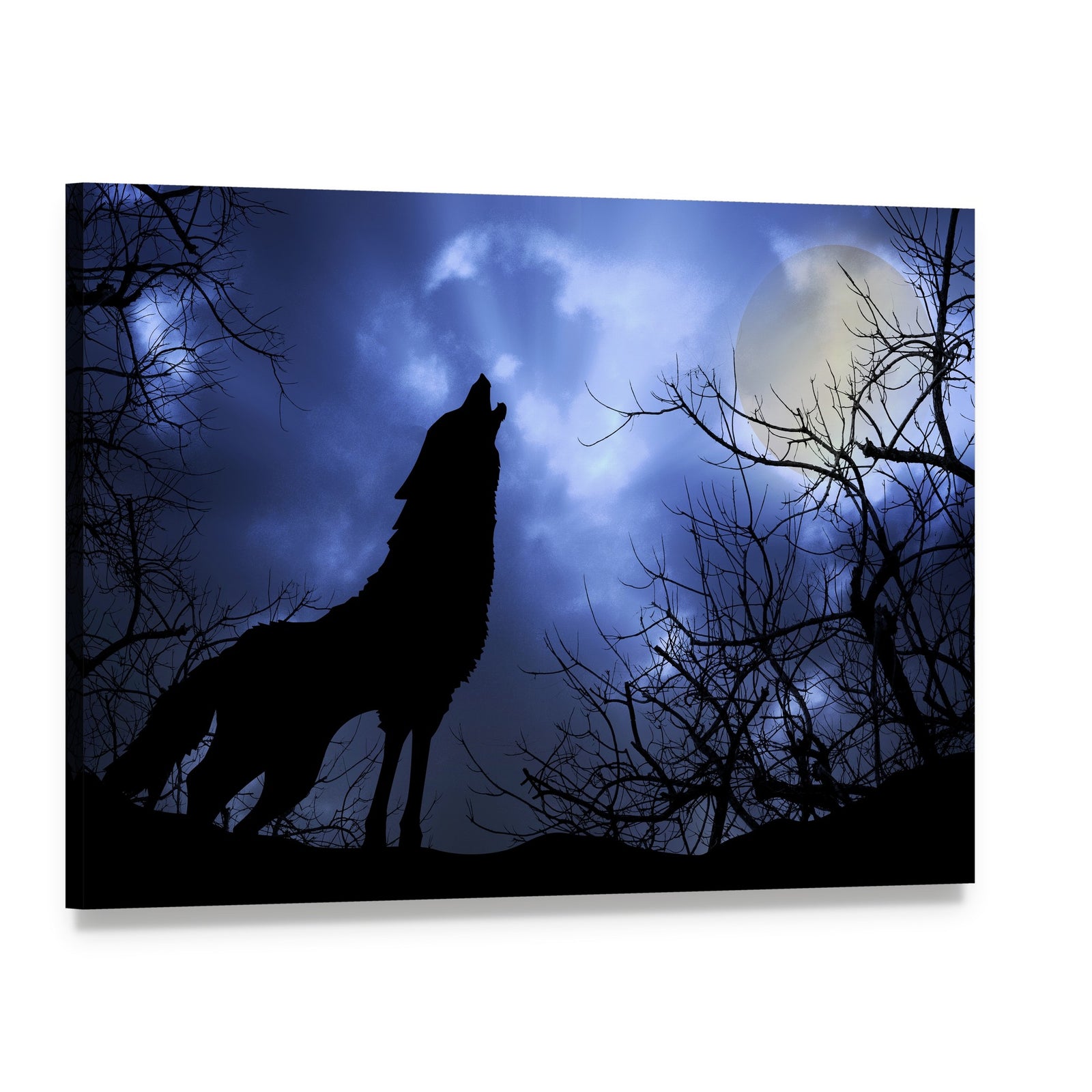 Wolf Howling in Dark Canvas Wall Art, single panel gallery wrapped canvas, angled product view