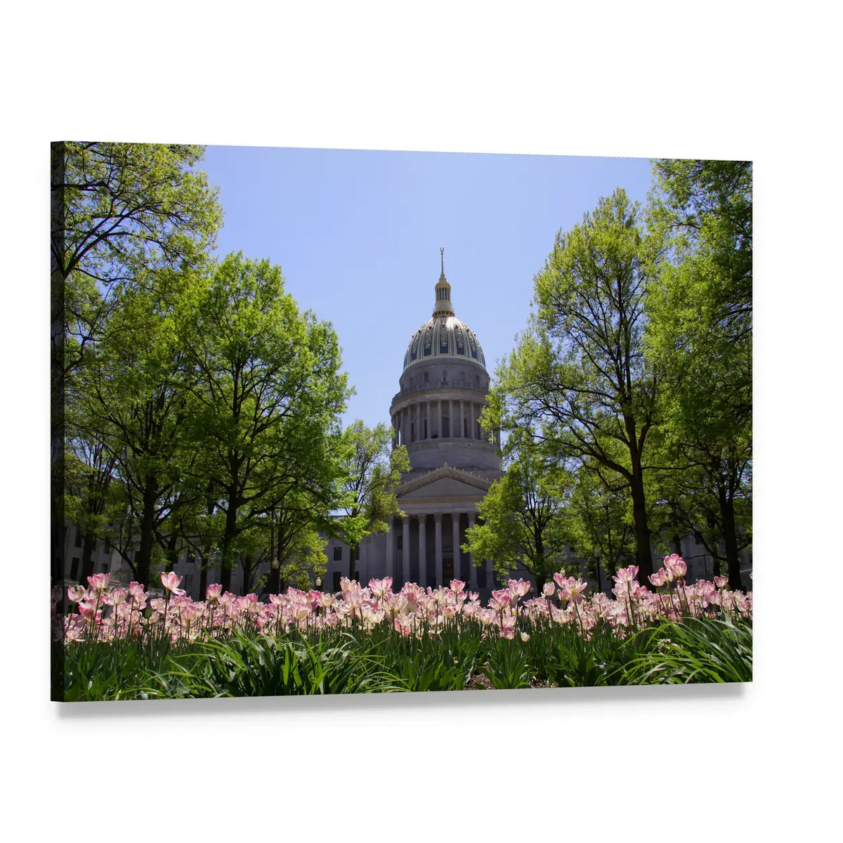 Tulips in Front of Golden-domed Capitol Canvas Wall Art, single panel gallery wrapped canvas, angled product view