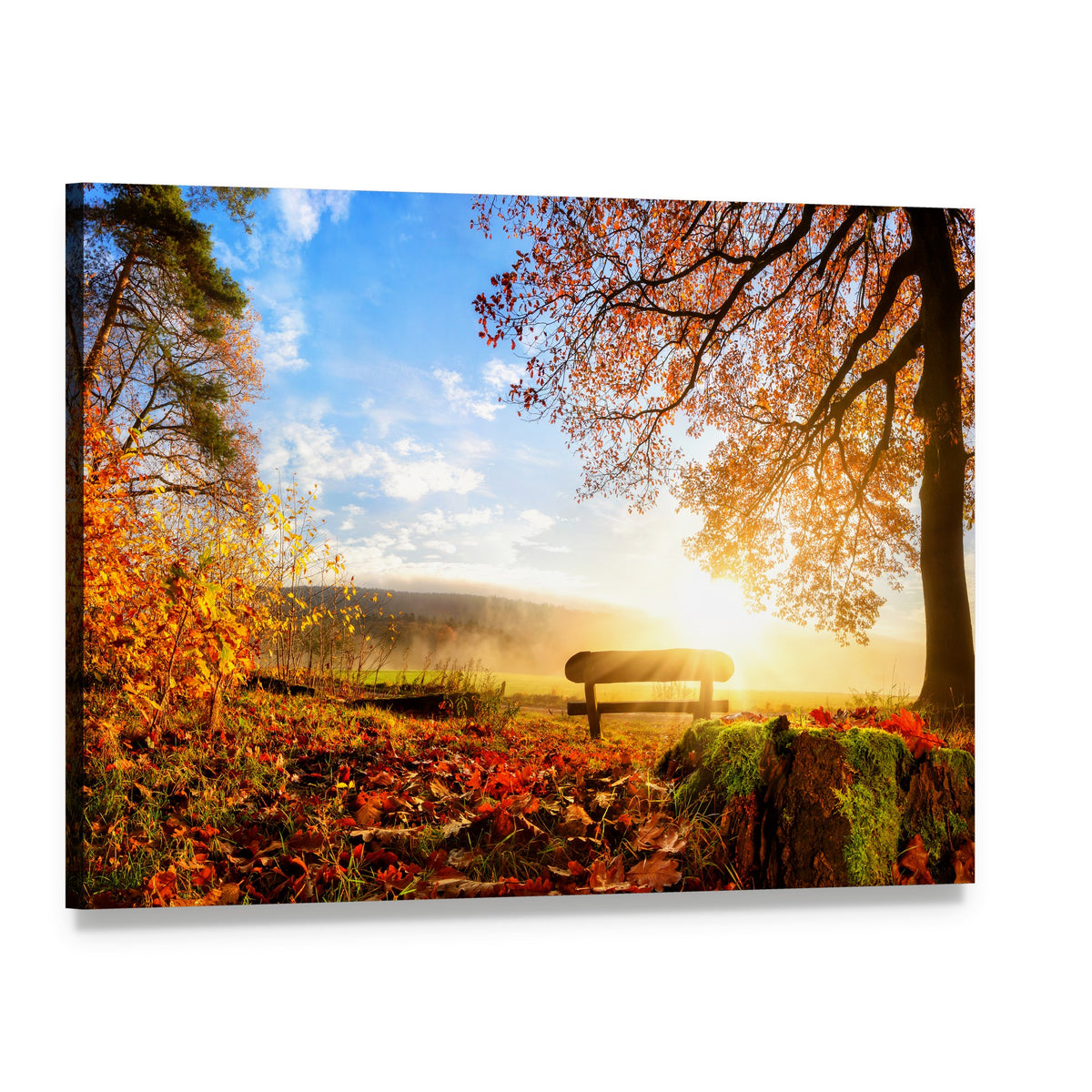 Autumn Landscape with the Sun Canvas Wall Art, single panel gallery wrapped canvas, angled product view