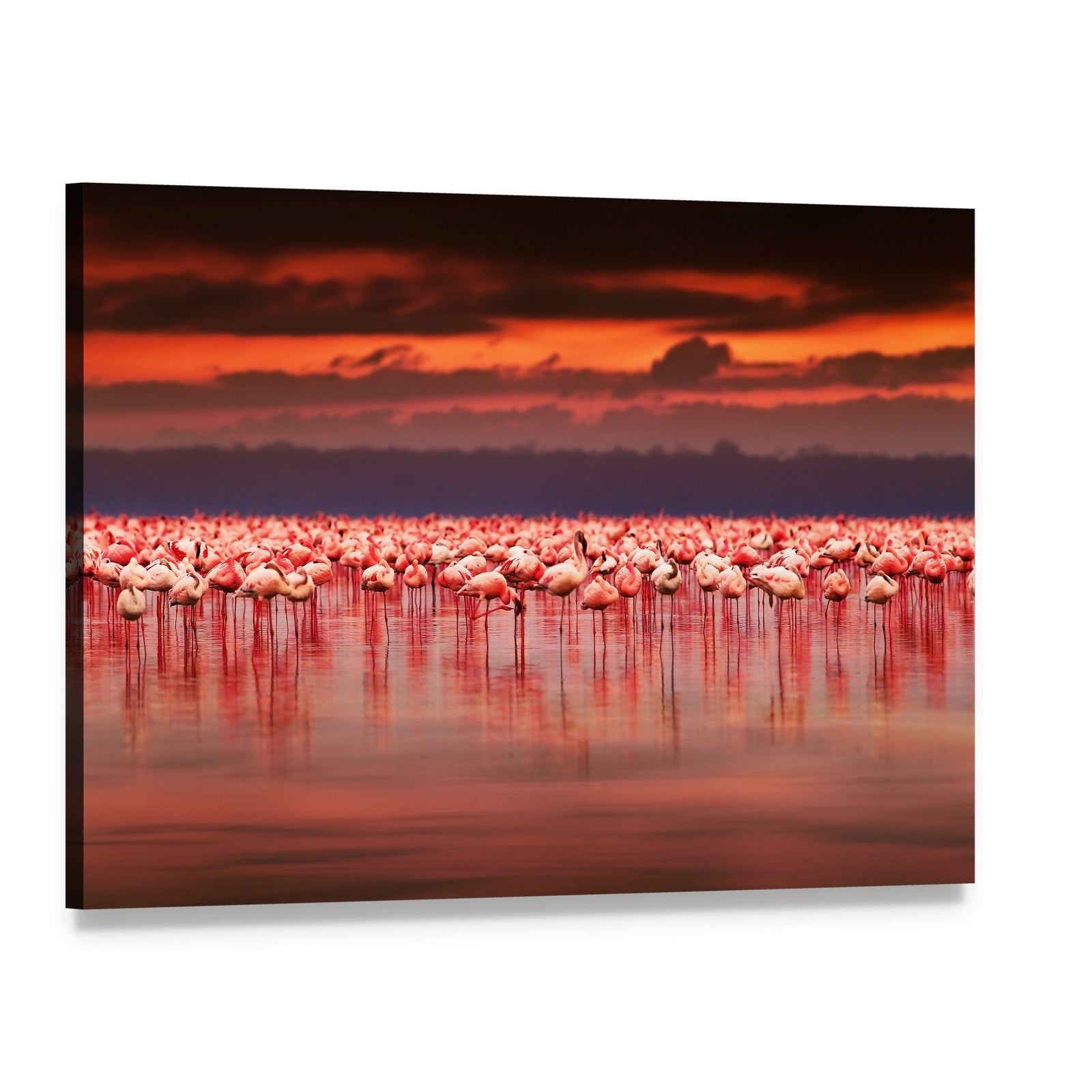 African Flamingos in Lake at Sunset Canvas Wall Art, single panel gallery wrapped canvas, angled product view