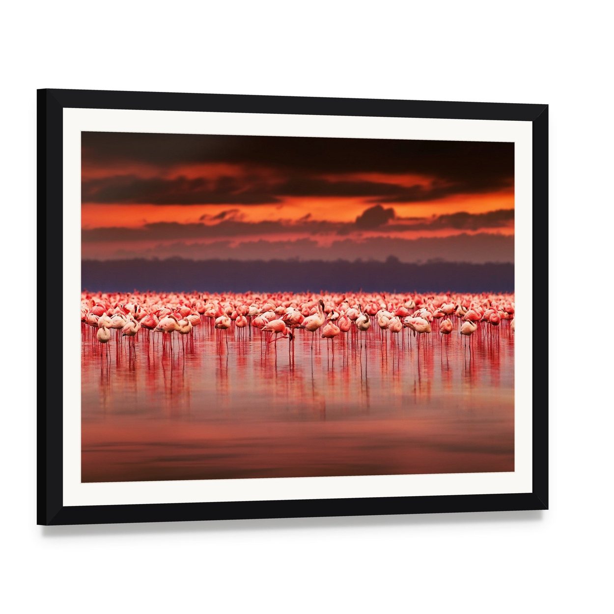 African Flamingos in Lake at Sunset Canvas Wall Art, framed print with white mat and black frame, angled product view