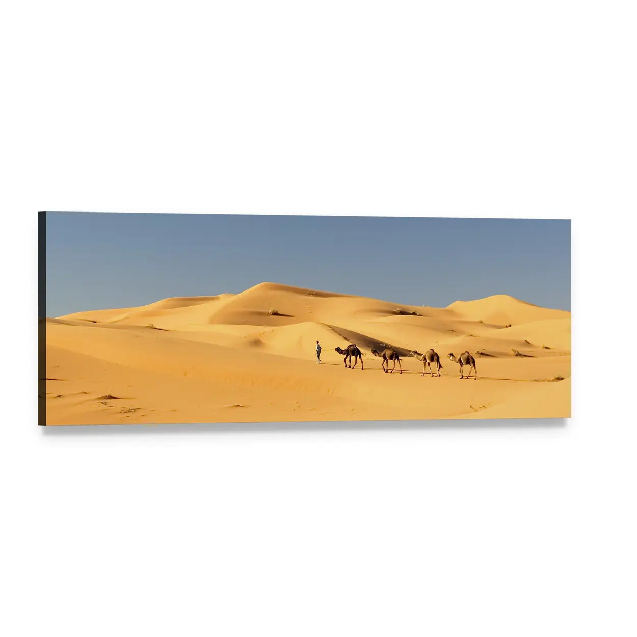 Camel Caravan Across Sand Dunes Panoramic Canvas Wall Art, single panel gallery wrapped canvas, angled product view