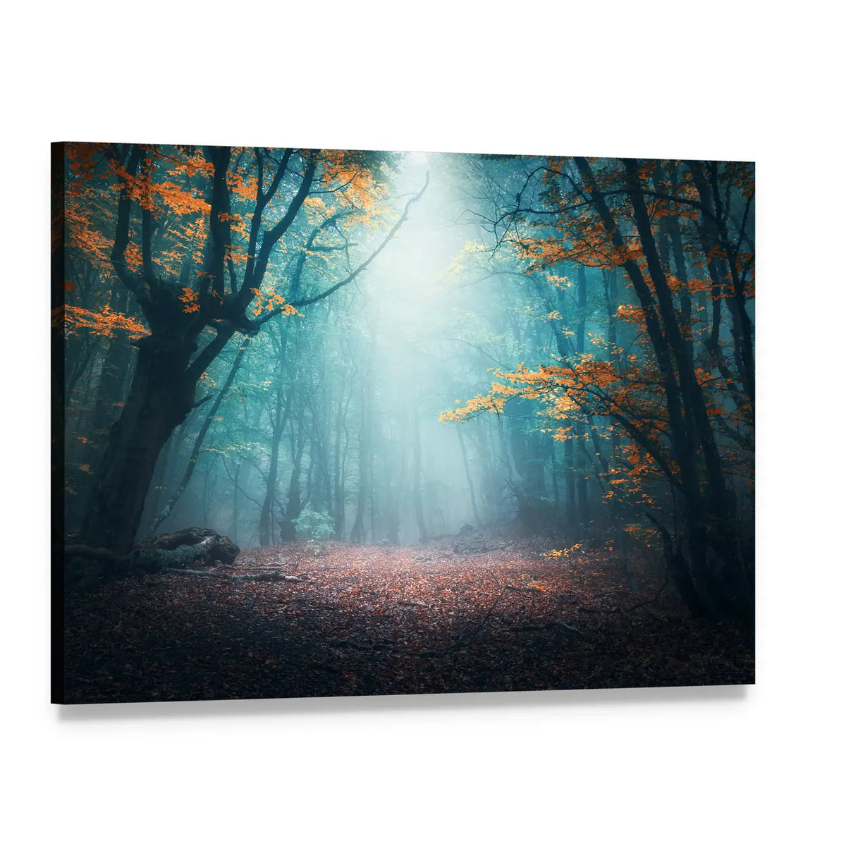Mystical Forest in Autumn Canvas Wall Art, single panel gallery wrapped canvas, angled product view