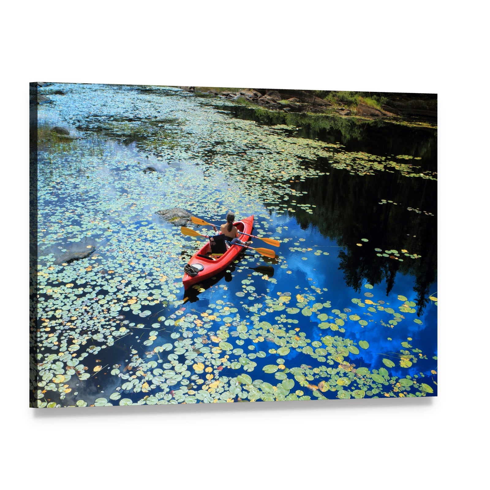 Kayaking Among Water Lilies Canvas Wall Art, single panel gallery wrapped canvas, angled product view