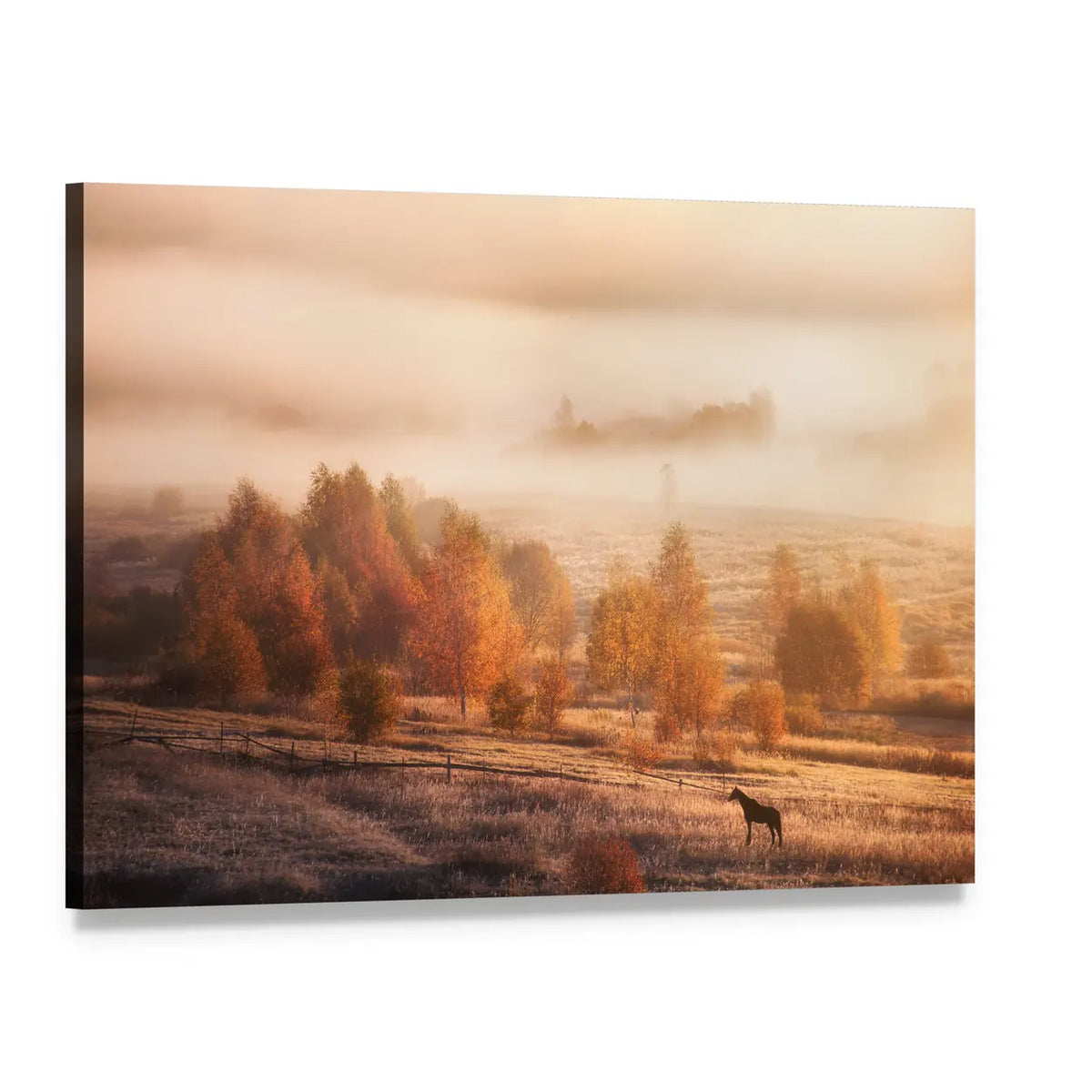 Autumn Horse in Russian Jungle Canvas Wall Art, single panel gallery wrapped canvas, angled product view
