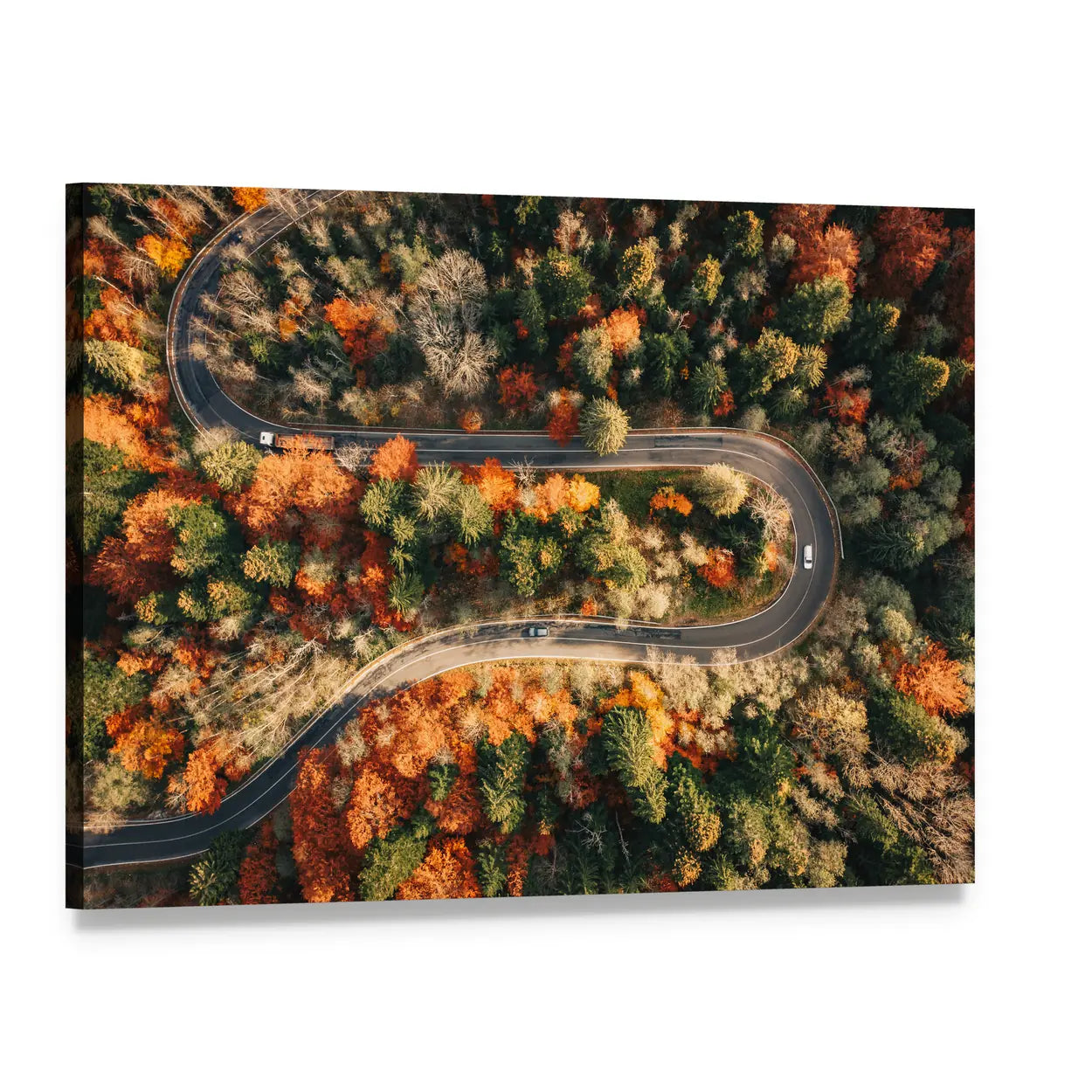 Winding Mountain Road Through Forest In Autumn Canvas Wall Art, single panel gallery wrapped canvas, angled product view