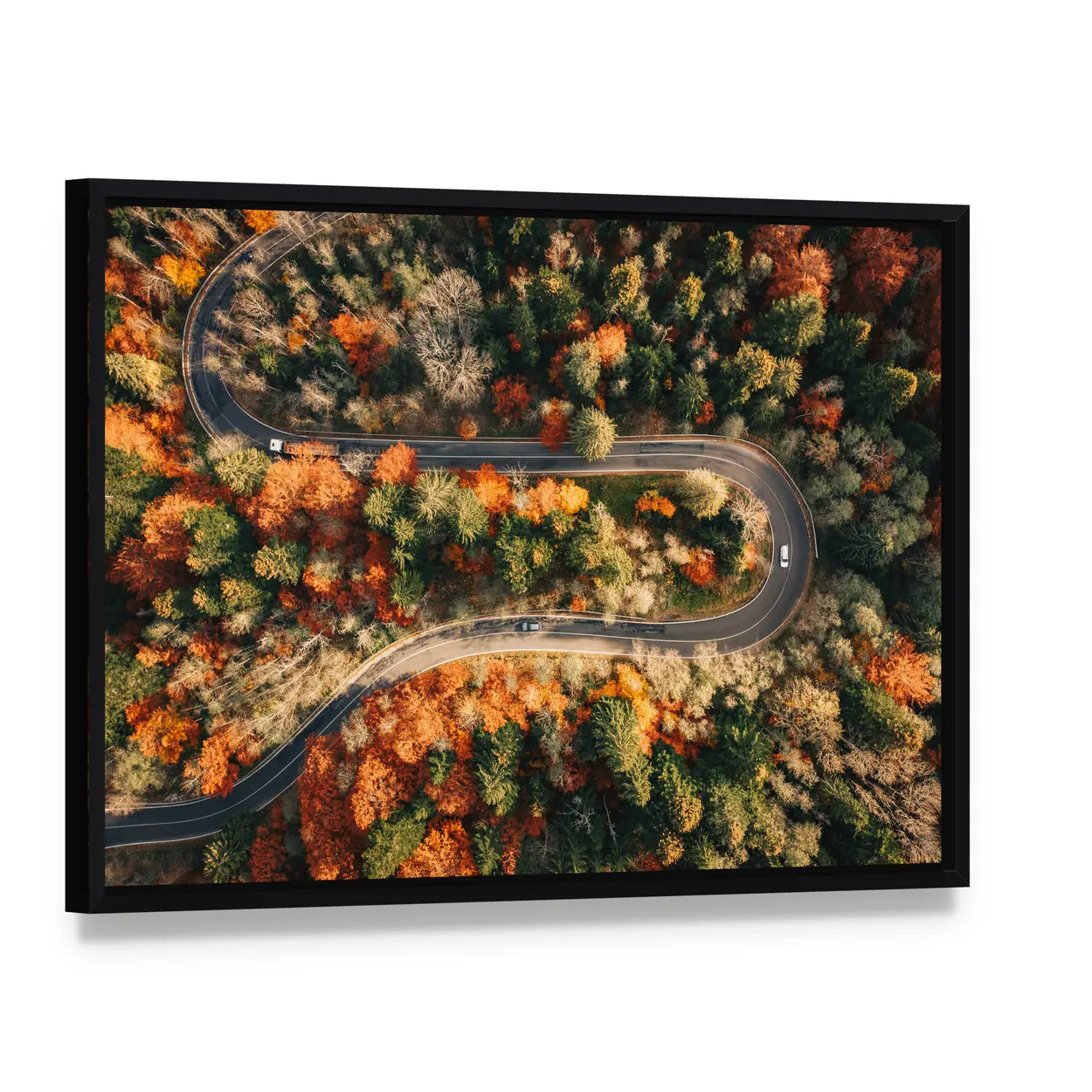 Winding Mountain Road Through Forest In Autumn Canvas Wall Art, framed canvas in a black floater frame, angled product view