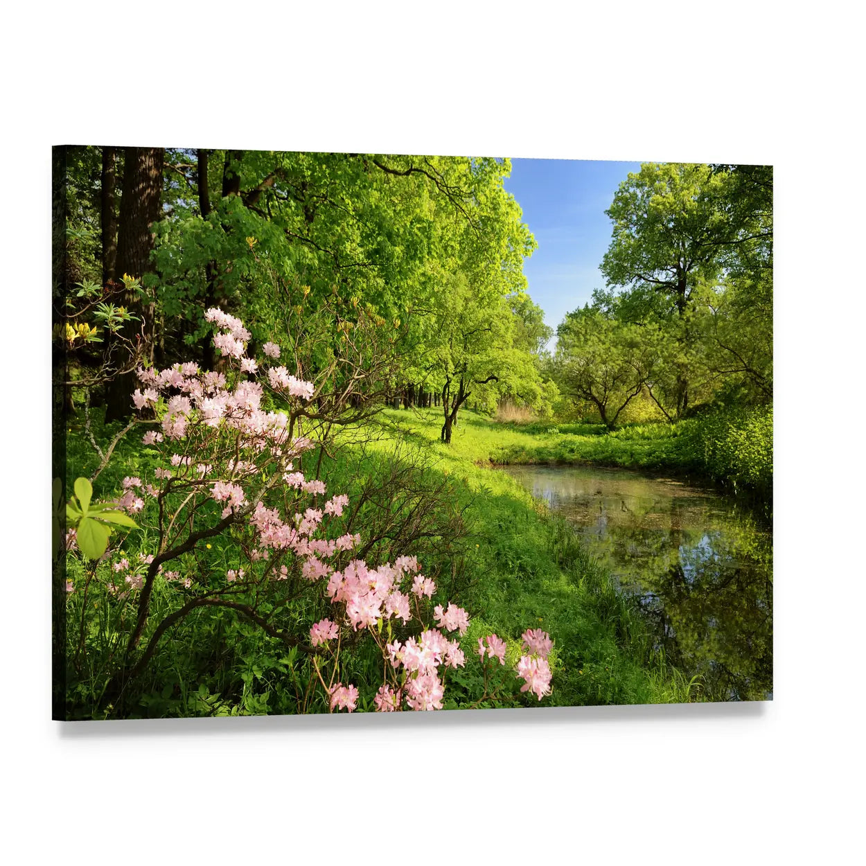 Spring Pond with Rhododendrons and Pink Azaleas Canvas Wall Art, single panel gallery wrapped canvas, angled product view