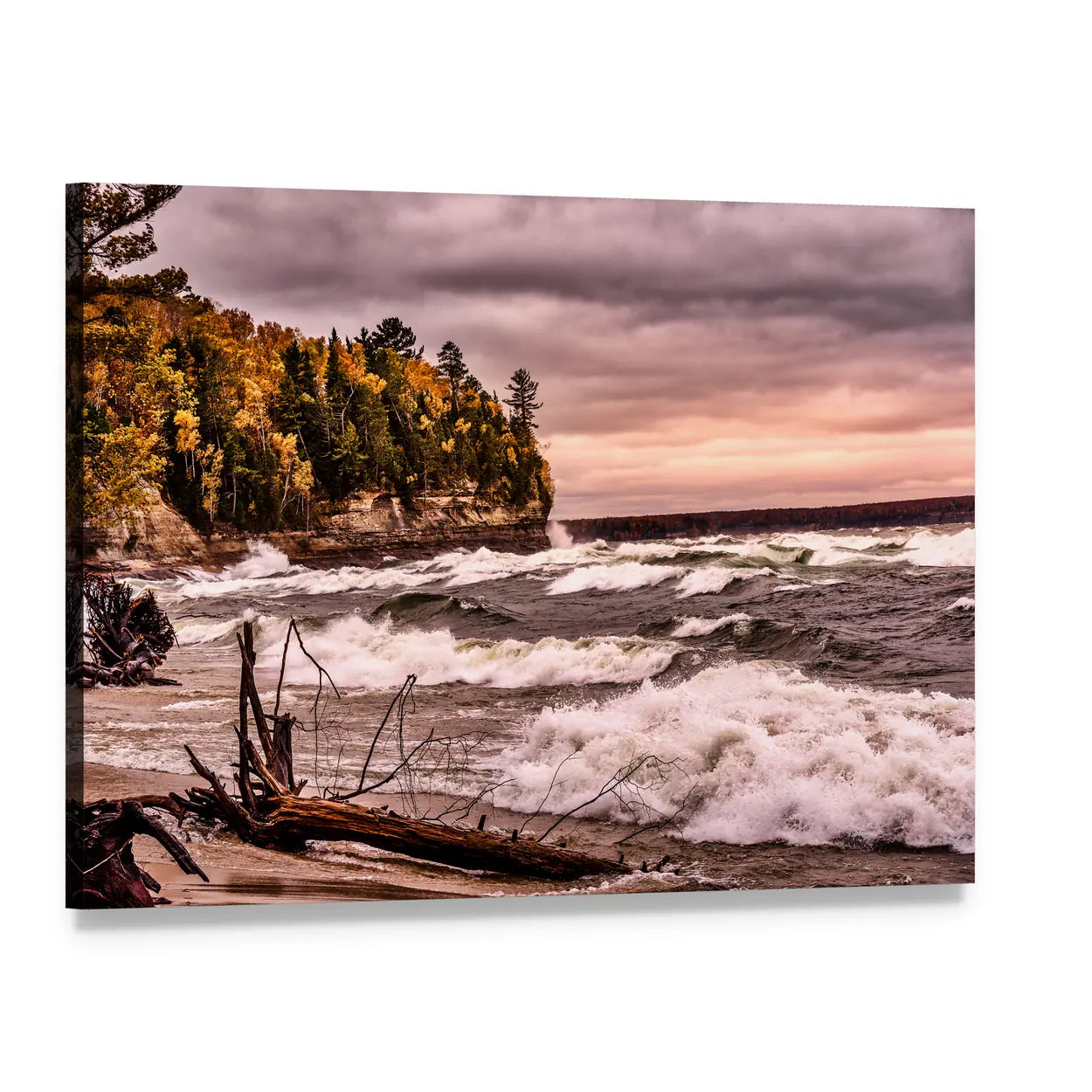 Driftwood on Autumn Lakeshore Canvas Wall Art, single panel gallery wrapped canvas, angled product view