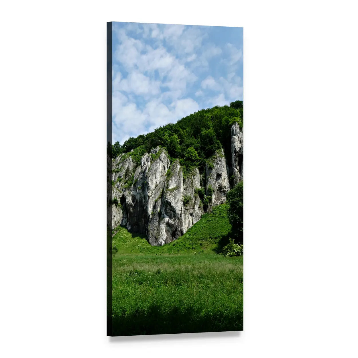 Limestone Cliff with Forest and Meadow Vertical Canvas Wall Art, 1 panel 1 Vertical layout gallery wrapped canvas set, angled product view