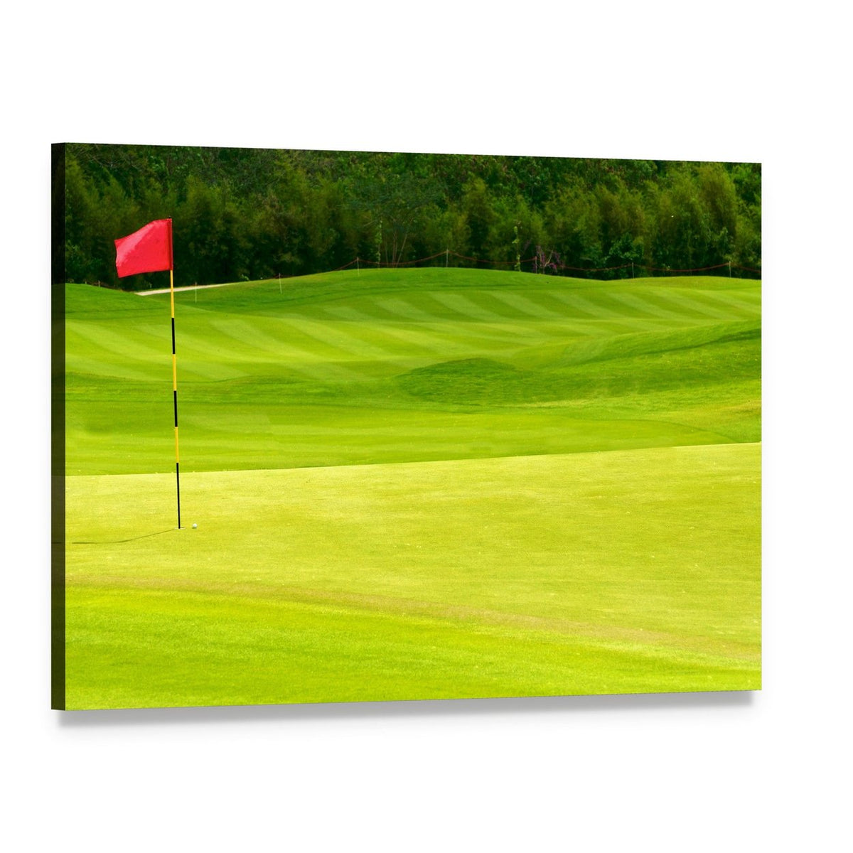 Golf Ball Near Hole Canvas Wall Art, single panel gallery wrapped canvas, angled product view