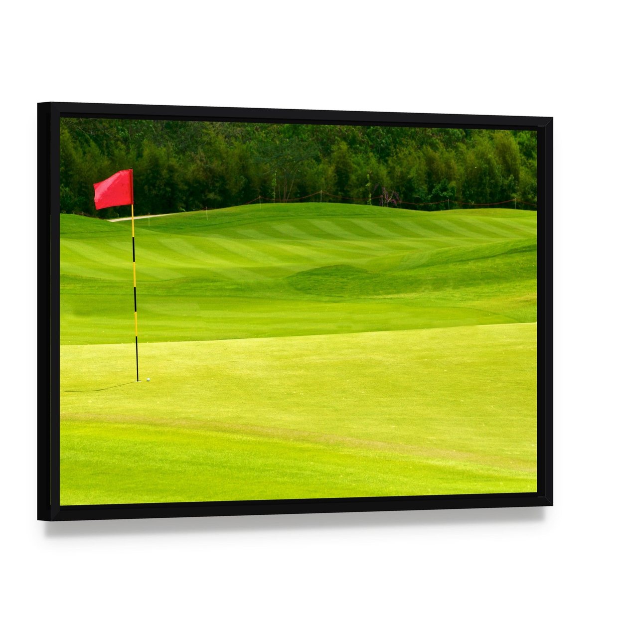 Golf Ball Near Hole Canvas Wall Art, framed canvas in a black floater frame, angled product view