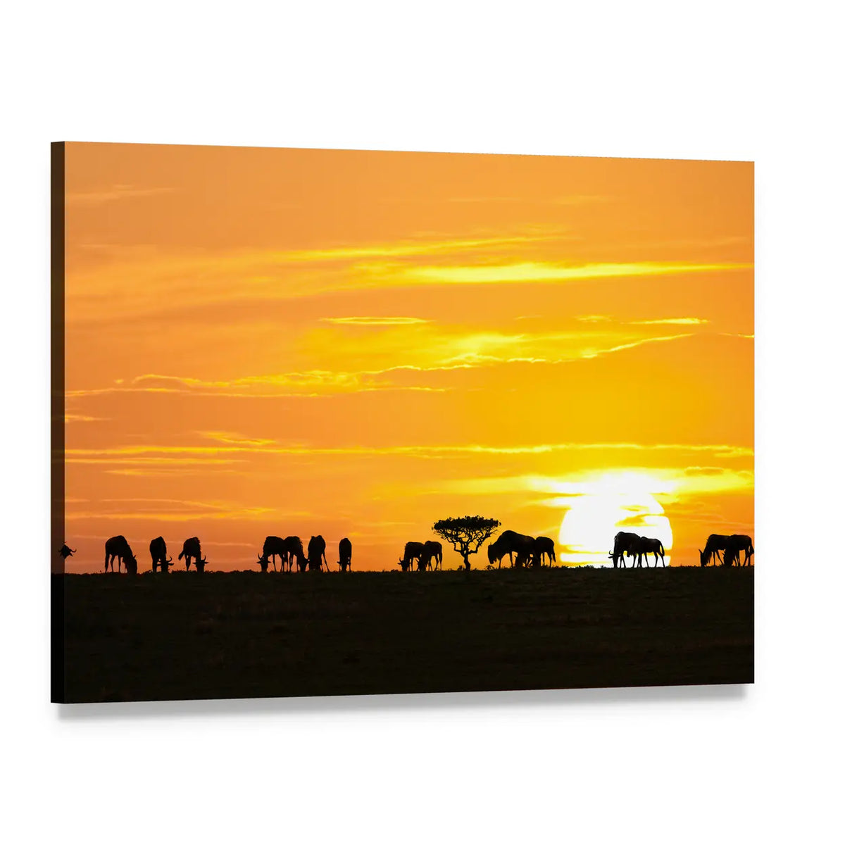 Sunrise In Serengeti National Park In Tanzania Canvas Wall Art, single panel gallery wrapped canvas, angled product view