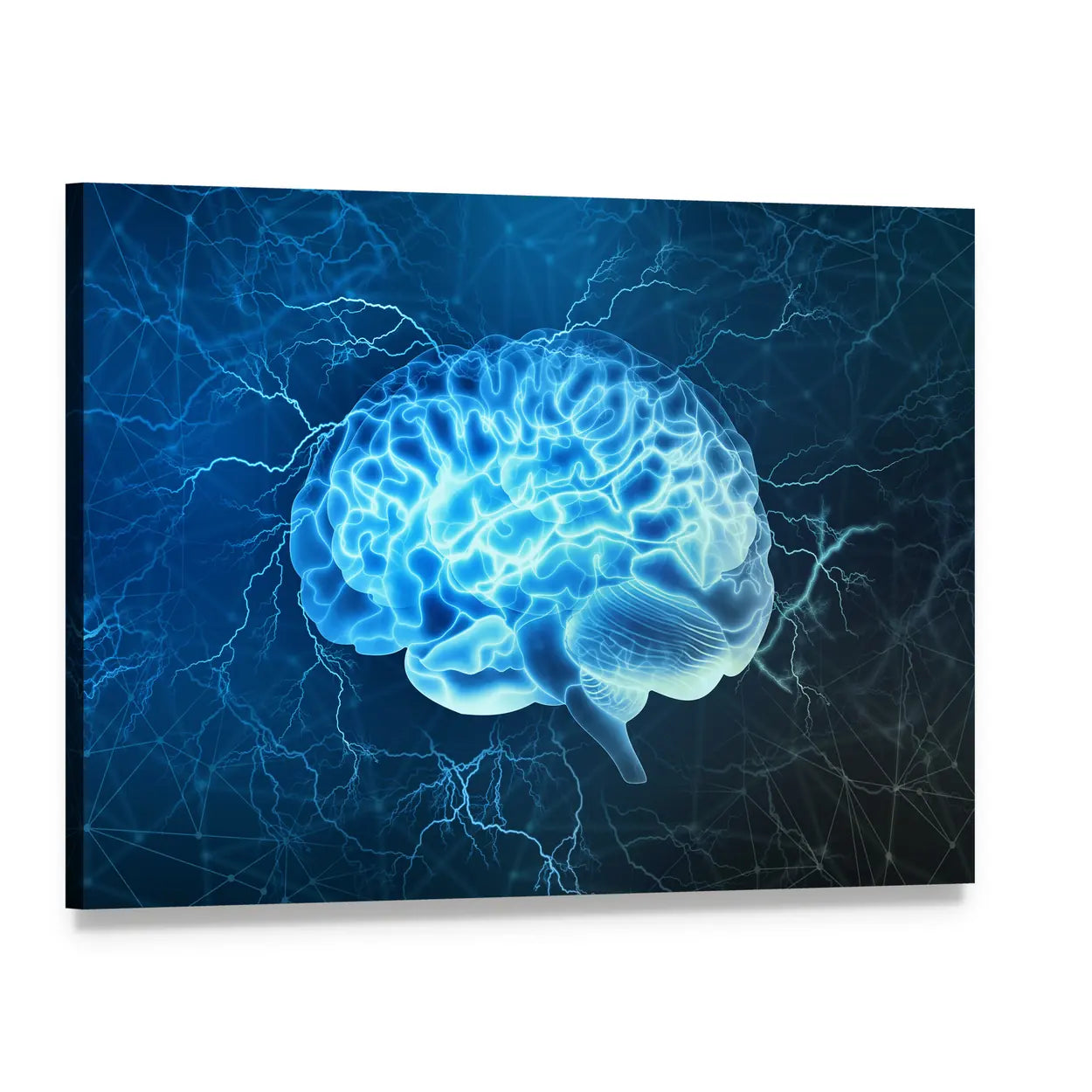 Human Brain Electrical Activity Canvas Wall Art, single panel gallery wrapped canvas, angled product view