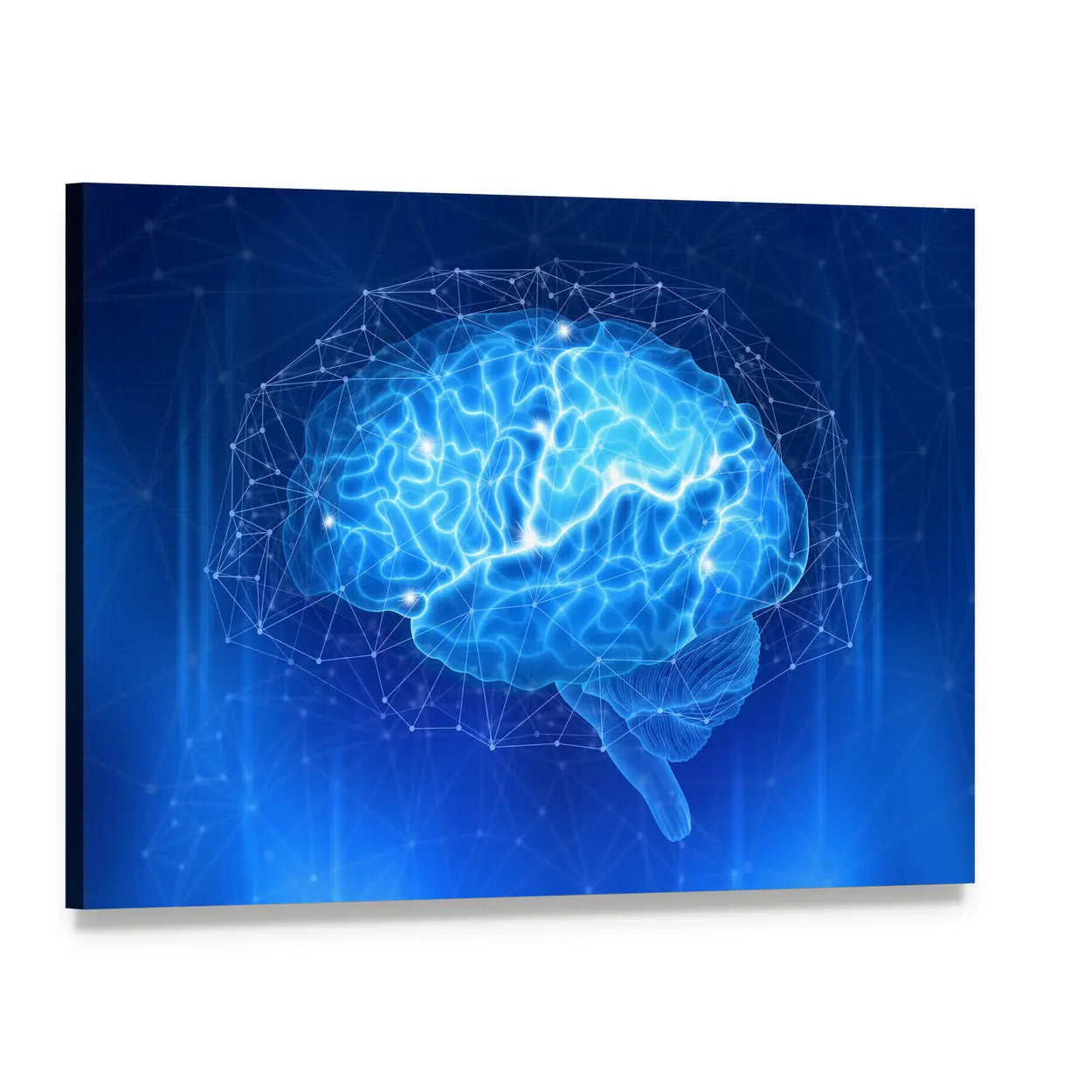 Human Brain Neural Network Canvas Wall Art, single panel gallery wrapped canvas, angled product view