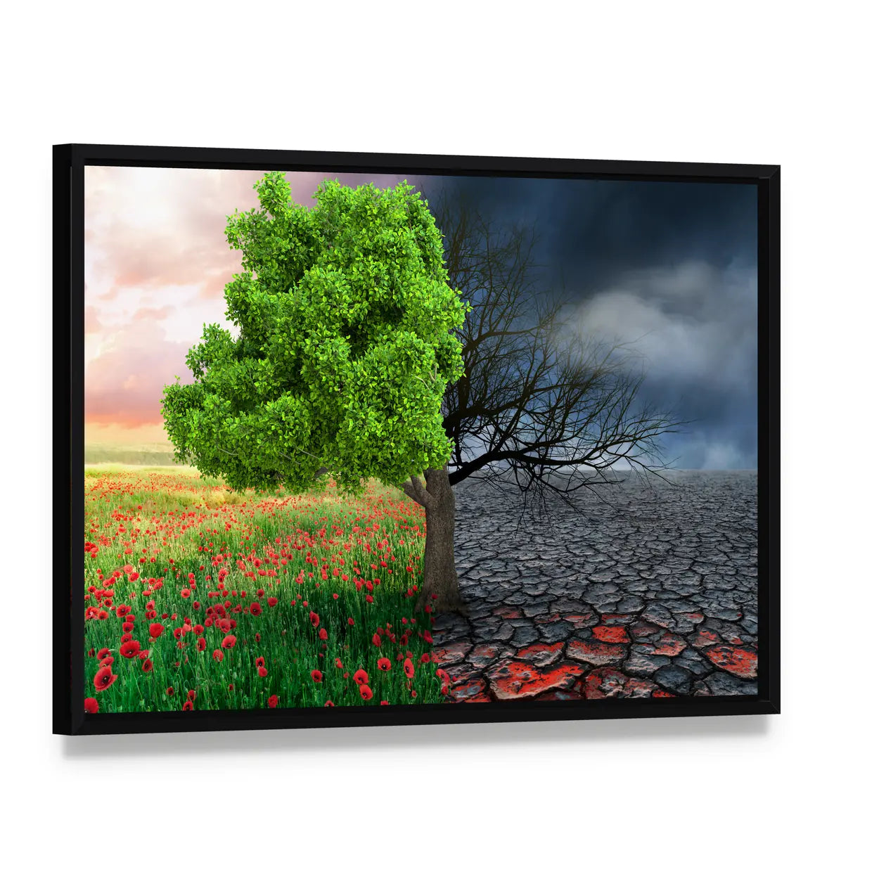 Split Tree with Poppies and Cracked Earth Canvas Wall Art, framed canvas in a black floater frame, angled product view