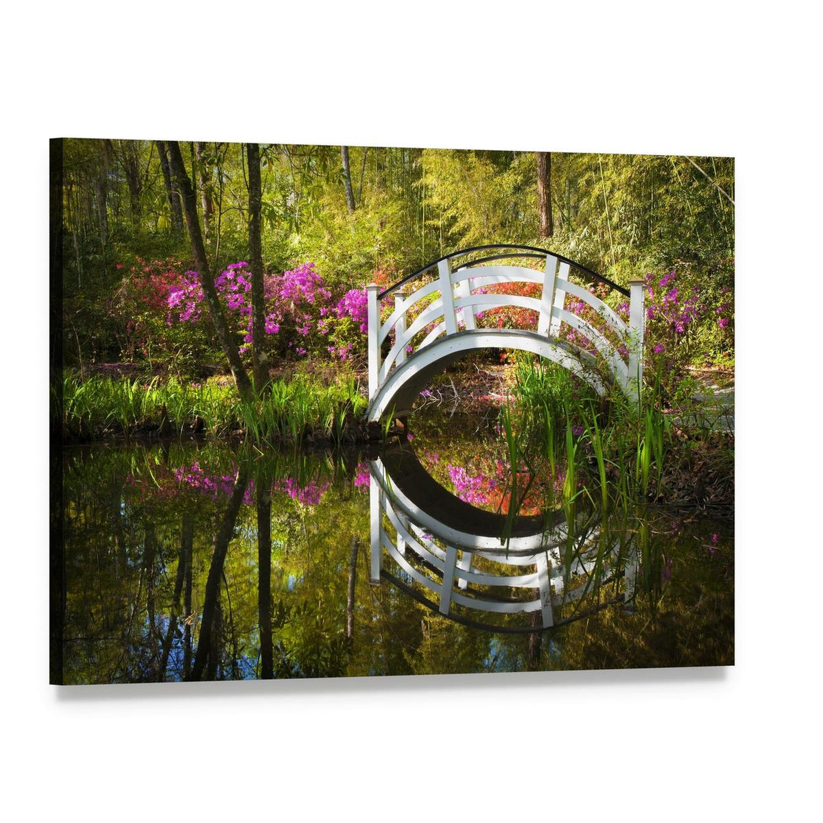 White Arched Bridge Over Azalea Pond Canvas Wall Art, single panel gallery wrapped canvas, angled product view