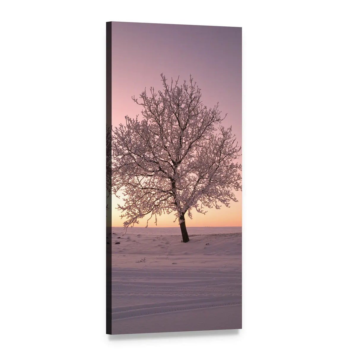 Lone Frosted Tree at Pink Sunrise Vertical Canvas Wall Art, 1 panel 1 Vertical layout gallery wrapped canvas set, angled product view