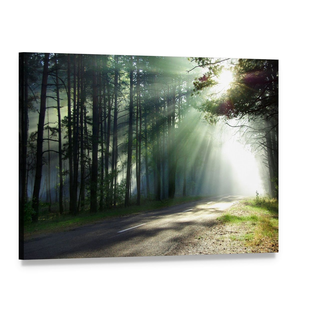 Sunlight Filtering Through a Forest Road Canvas Wall Art, single panel gallery wrapped canvas, angled product view