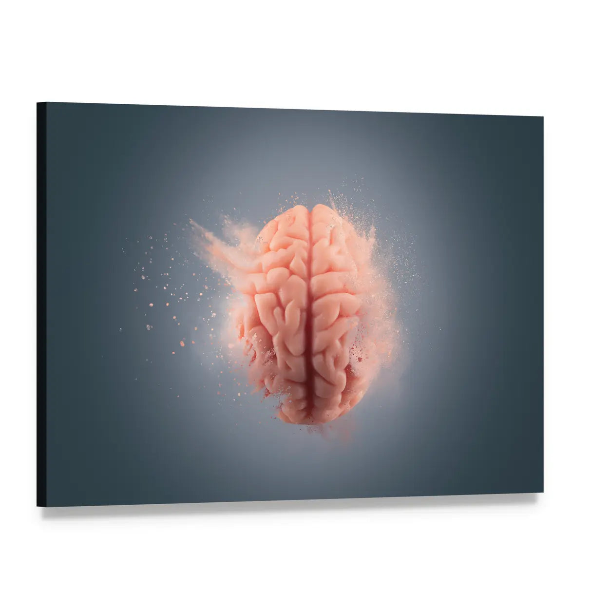Floating Human Brain with Pink Powder Canvas Wall Art, single panel gallery wrapped canvas, angled product view