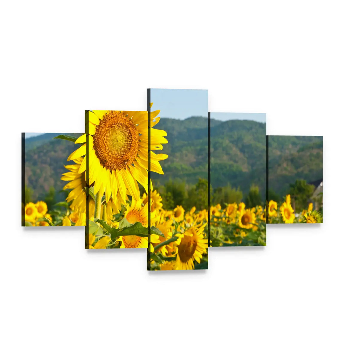 Sunflower Field and Green Mountains Canvas Wall Art, 5 panel 5 Star layout gallery wrapped canvas set, angled product view