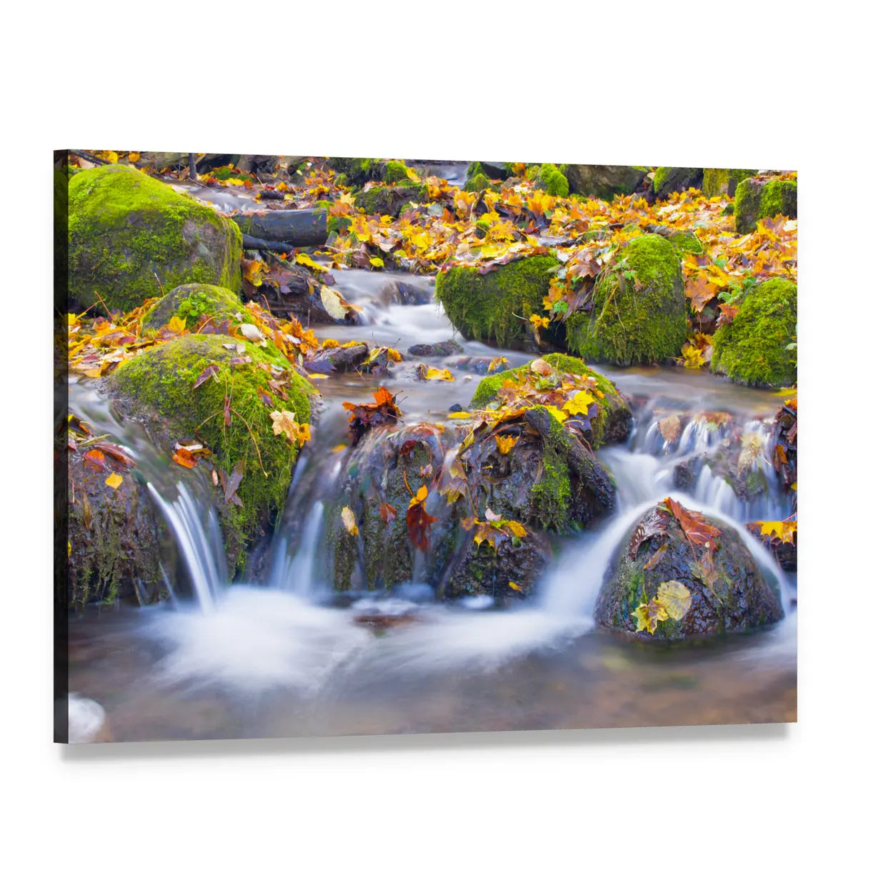 Cascade Waterfall In Autumn Forest Canvas Wall Art, single panel gallery wrapped canvas, angled product view