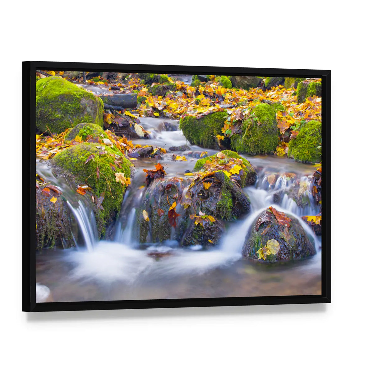 Cascade Waterfall In Autumn Forest Canvas Wall Art, framed canvas in a black floater frame, angled product view