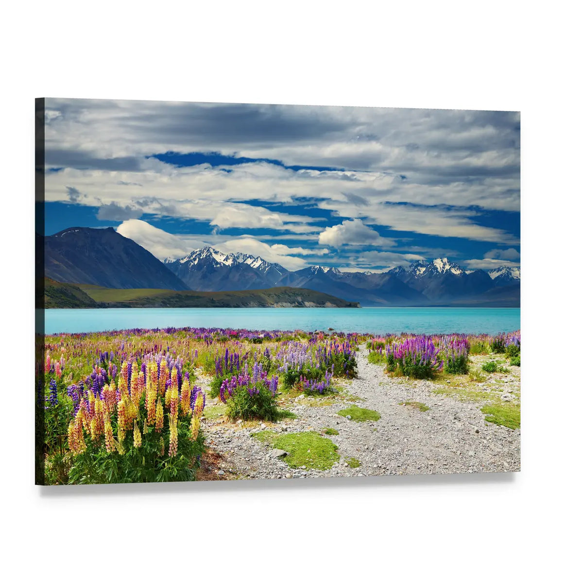 Lake Tekapo with Lupine Path and Mountains Canvas Wall Art, single panel gallery wrapped canvas, angled product view