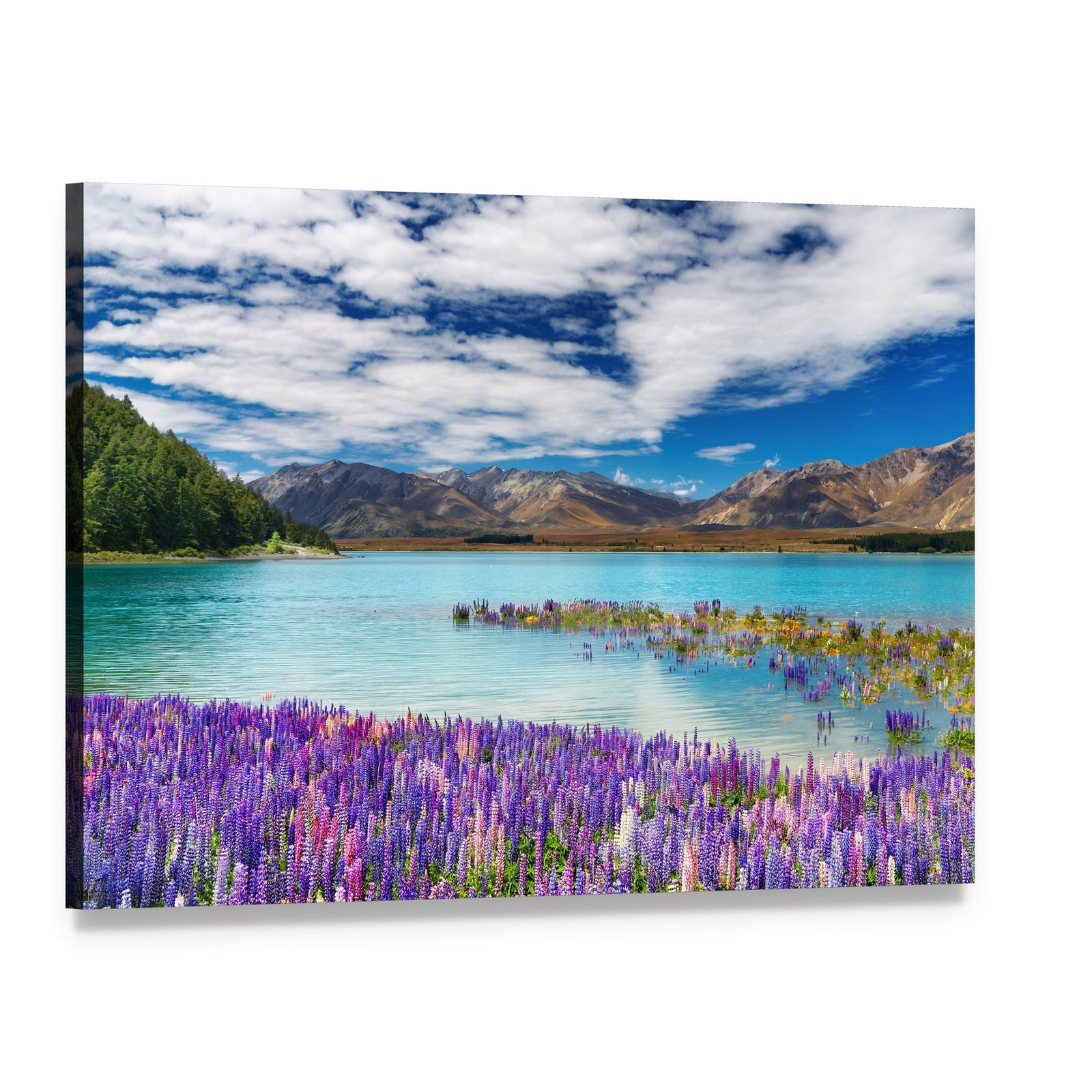 Lake Tekapo Lupine Field New Zealand Canvas Wall Art, single panel gallery wrapped canvas, angled product view