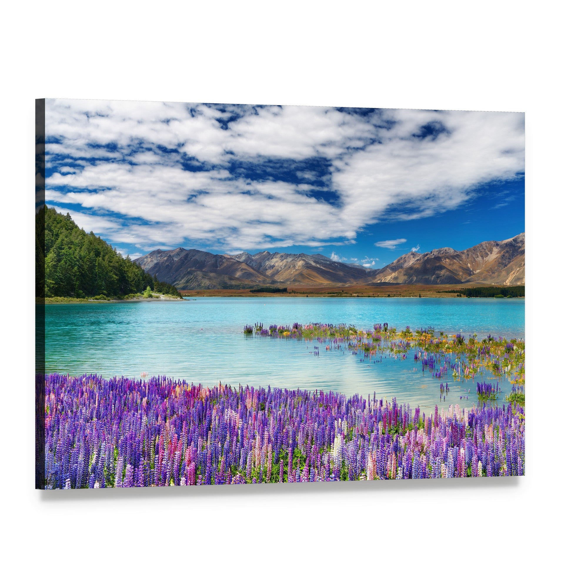 Lake Tekapo Lupine Field New Zealand Canvas Wall Art, single panel gallery wrapped canvas, angled product view