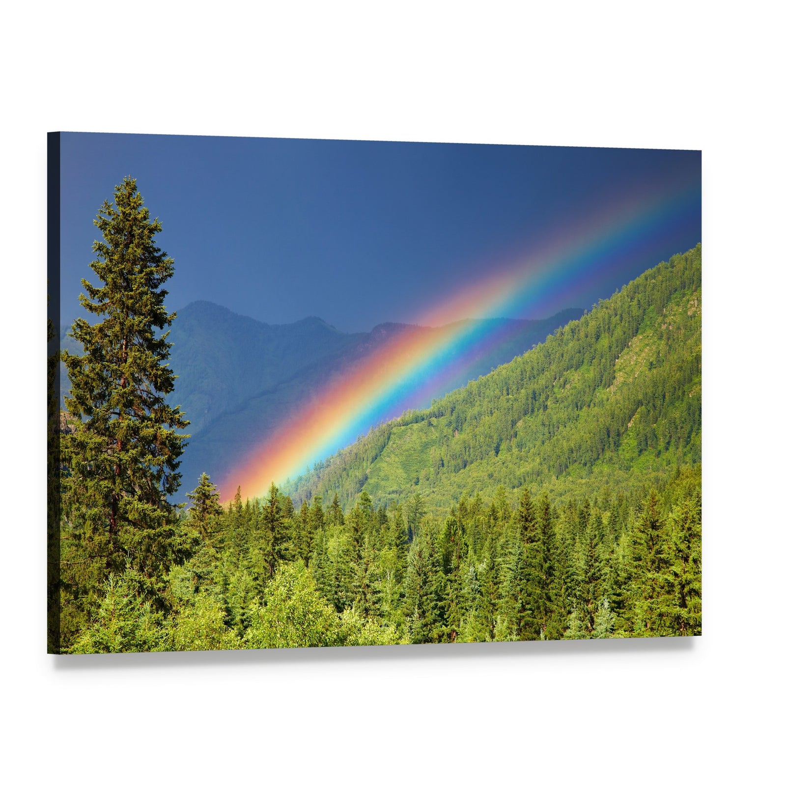 Rainbow Over Forest at Sunset Canvas Wall Art, single panel gallery wrapped canvas, angled product view