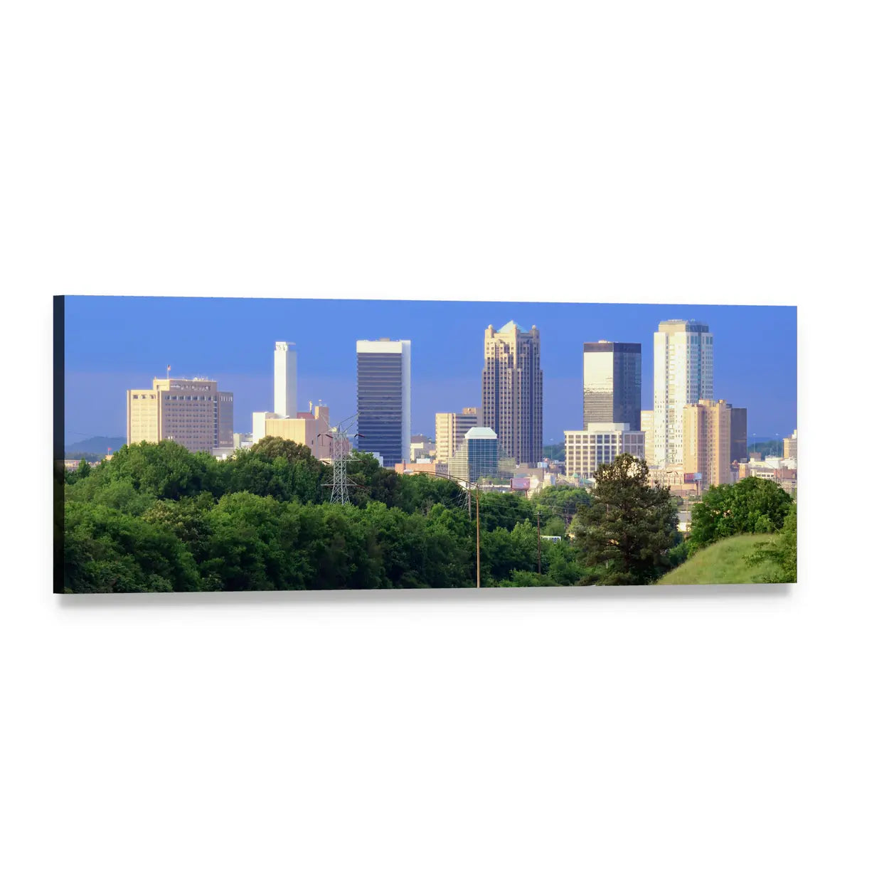 Alabama Skyline with Green Canopy Panoramic Canvas Wall Art, single panel gallery wrapped canvas, angled product view