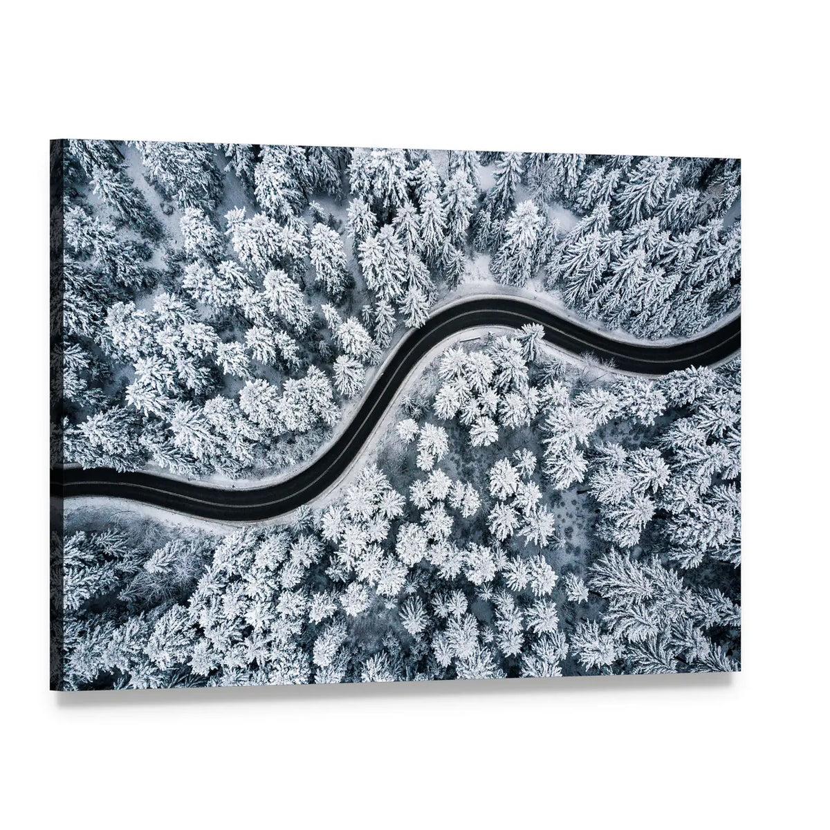 Curvy Windy Road In Snow Covered Forest Canvas Wall Art, single panel gallery wrapped canvas, angled product view
