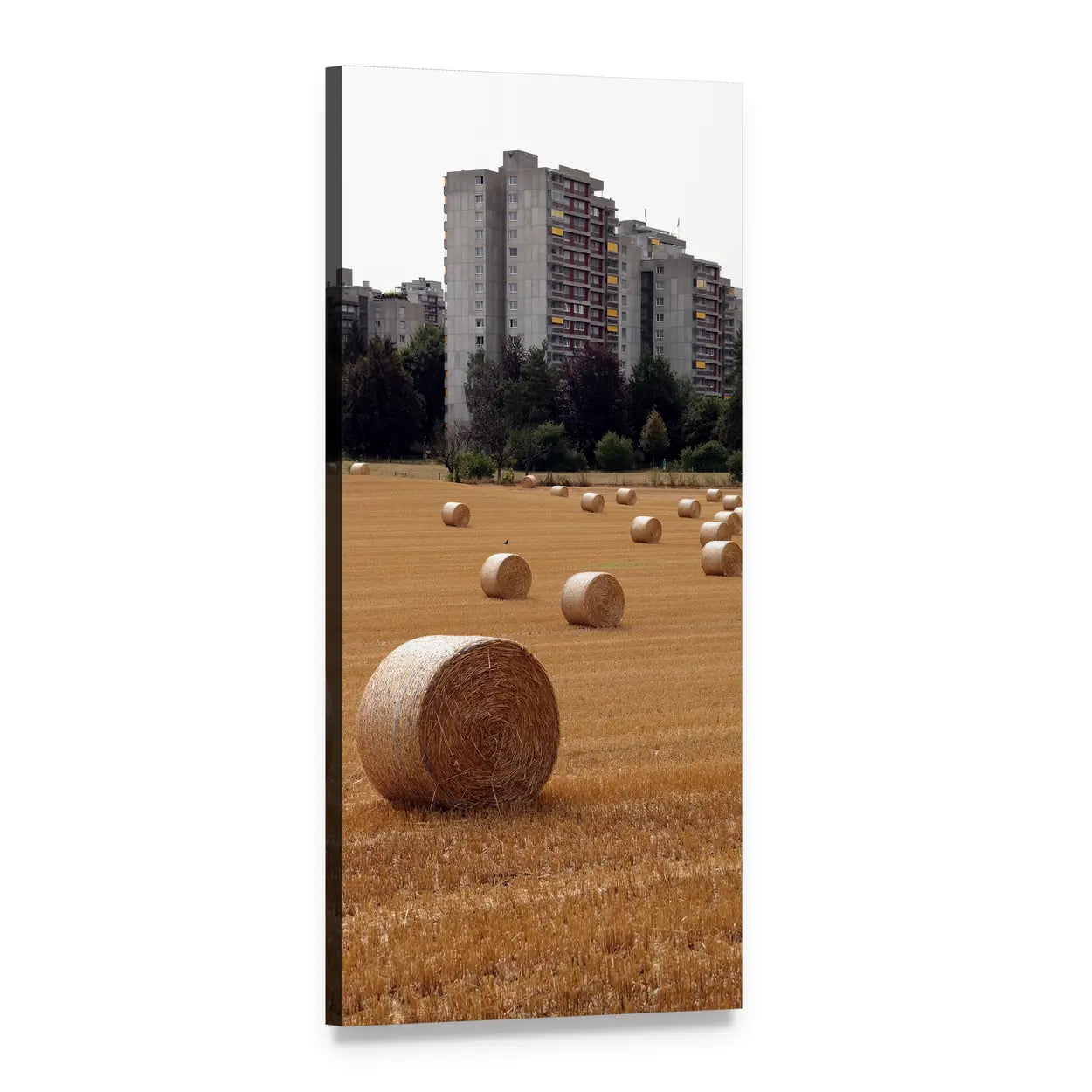 Golden Hay Bales and Brutalist Apartments Vertical Canvas Wall Art, 1 panel 1 Vertical layout gallery wrapped canvas set, angled product view