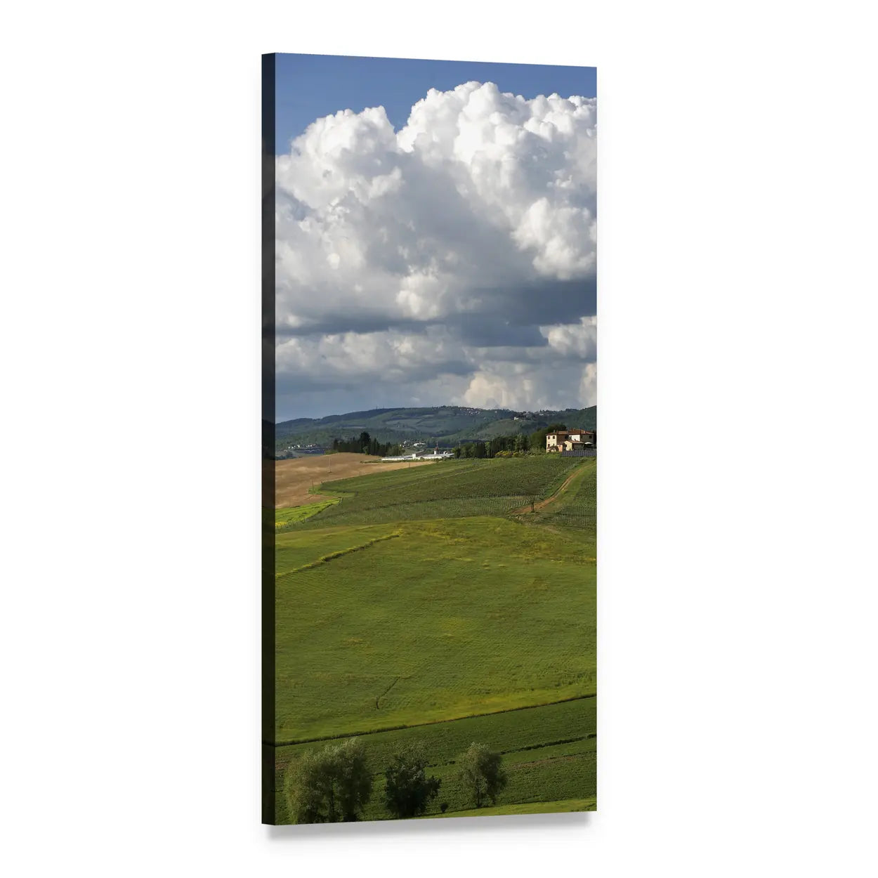 Tuscany Rolling Hills and Fields Vertical Canvas Wall Art, 1 panel 1 Vertical layout gallery wrapped canvas set, angled product view