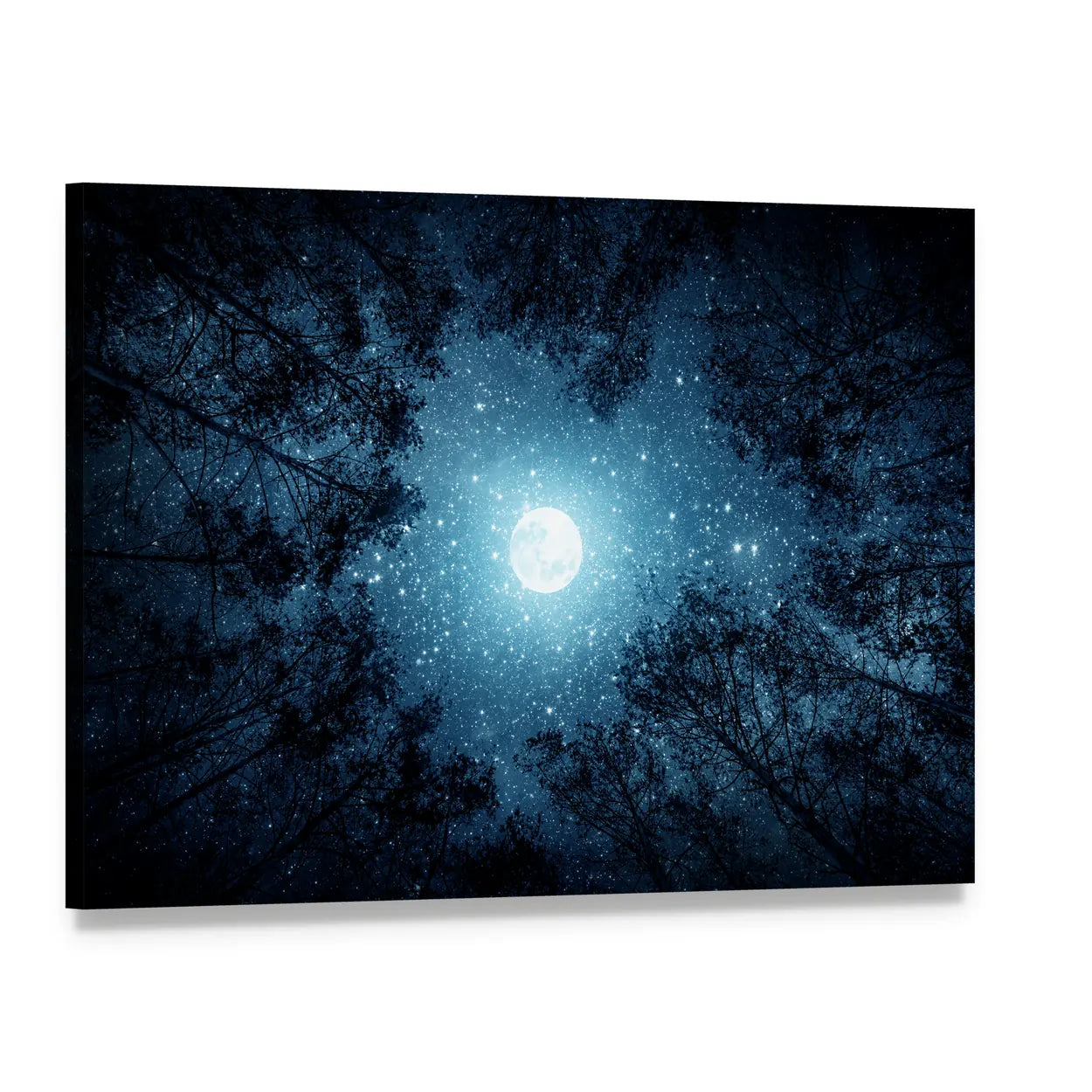 Milky Way And Moon From Forest Trees Canvas Wall Art, single panel gallery wrapped canvas, angled product view