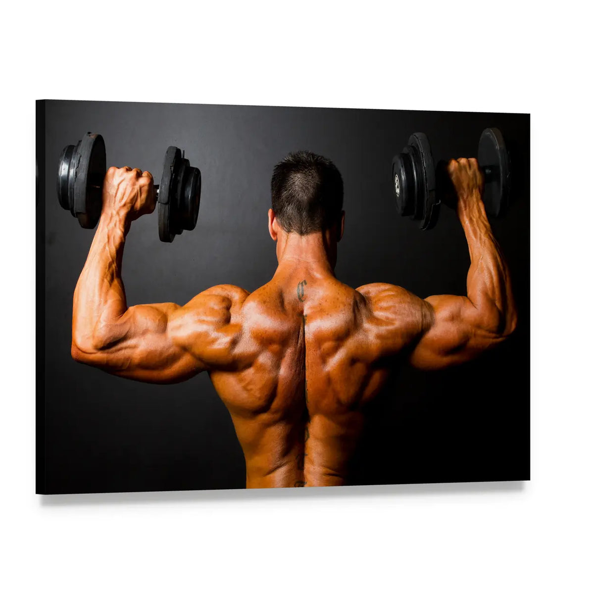 Bodybuilder Training with Dumbbells Canvas Wall Art, single panel gallery wrapped canvas, angled product view