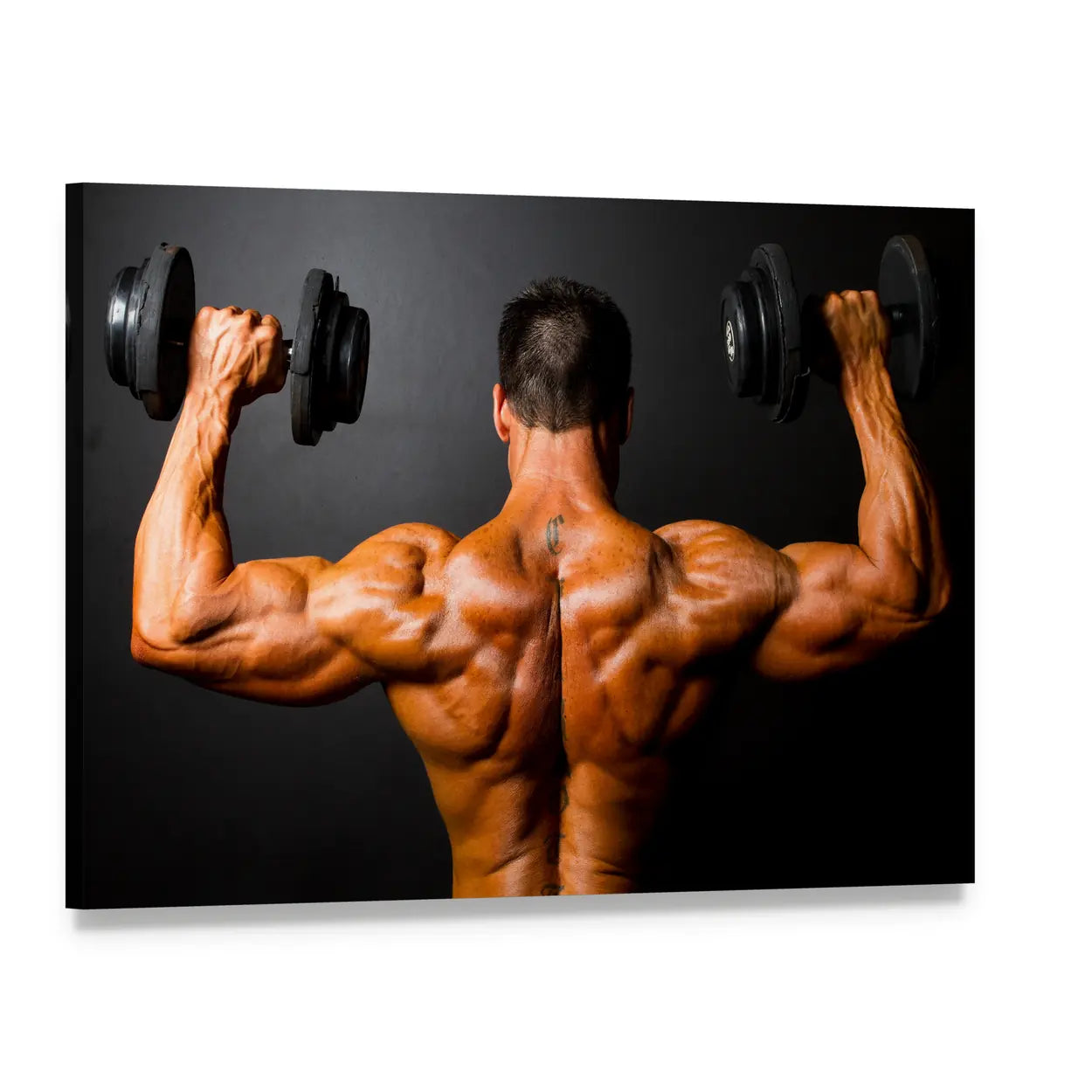 Bodybuilder Training with Dumbbells Canvas Wall Art, single panel gallery wrapped canvas, angled product view