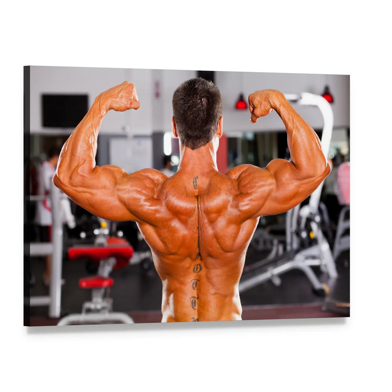Male Bodybuilder Back Double Biceps Pose Canvas Wall Art, single panel gallery wrapped canvas, angled product view