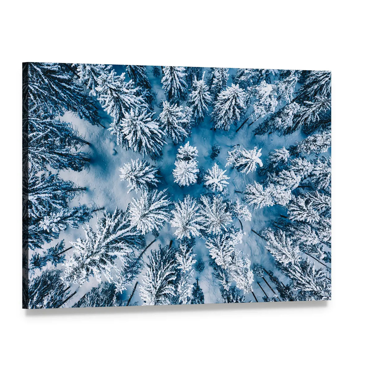 Trees And Snow In Winter Forest Canvas Wall Art, single panel gallery wrapped canvas, angled product view