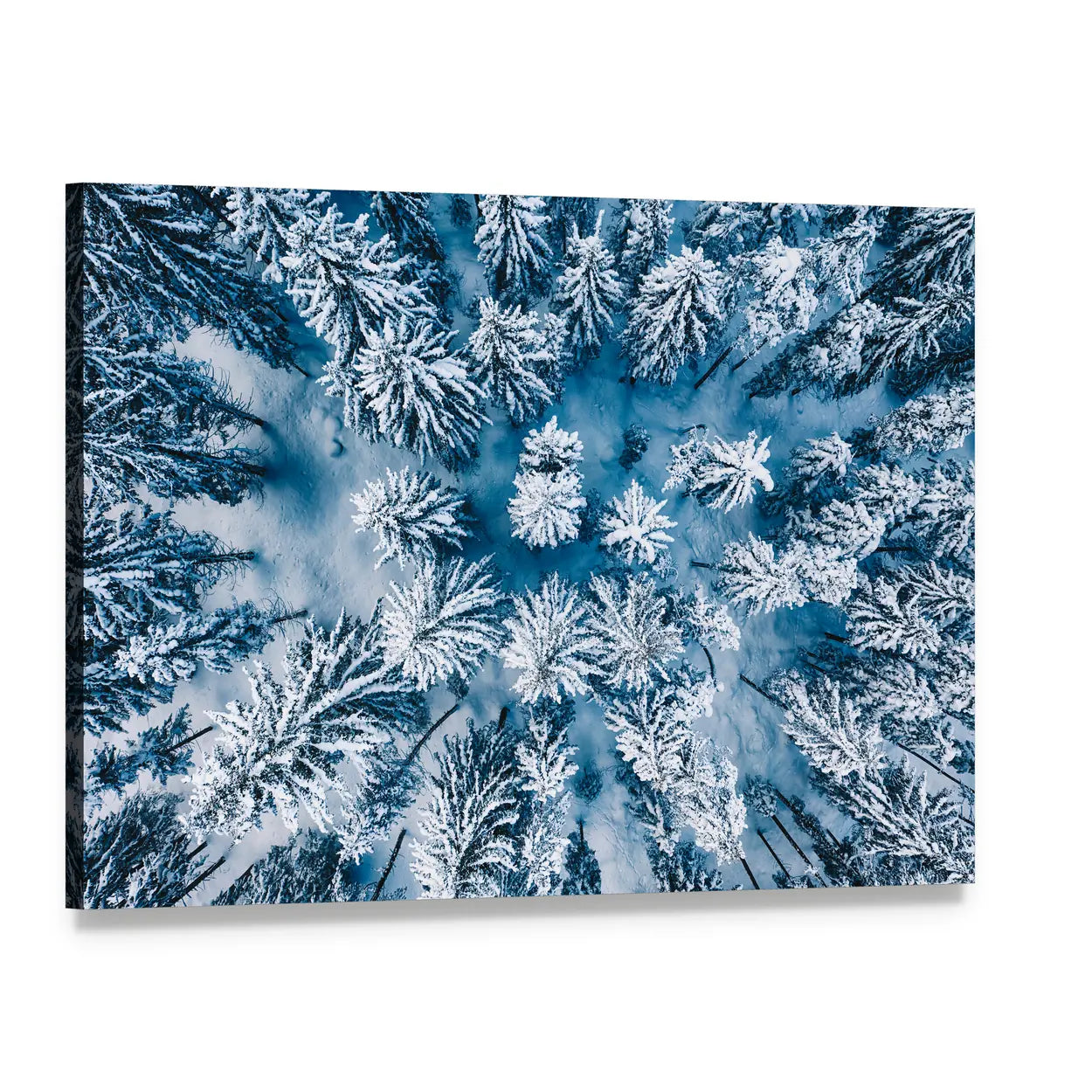 Trees And Snow In Winter Forest Canvas Wall Art, single panel gallery wrapped canvas, angled product view