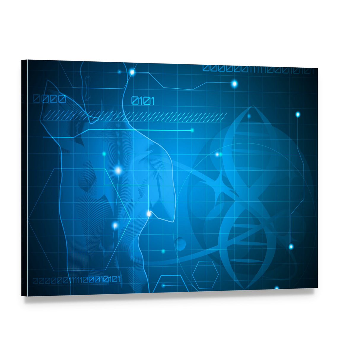Spine and Dna Helix Canvas Wall Art, single panel gallery wrapped canvas, angled product view