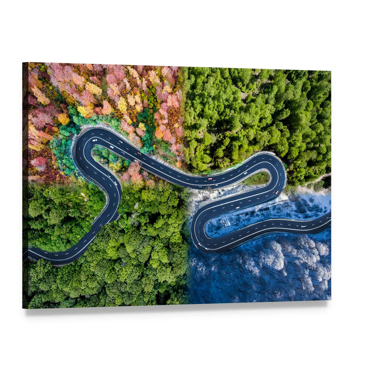 Highway Through The Forest Canvas Wall Art, single panel gallery wrapped canvas, angled product view