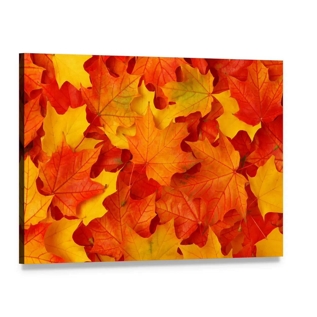 Fall Maple Leaves Canvas Wall Art, single panel gallery wrapped canvas, angled product view