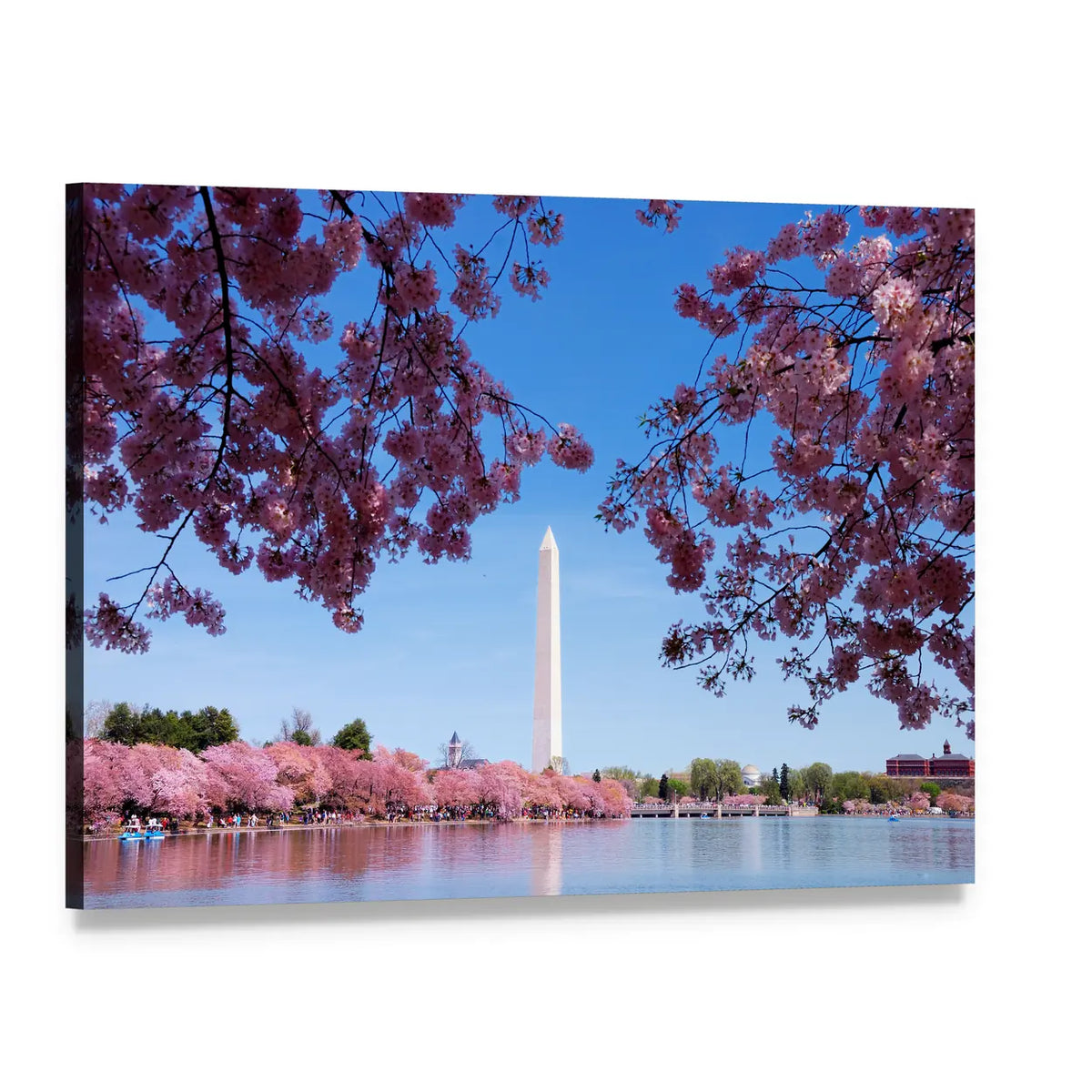 Cherry Blossom And Washington Monument Over Lake Canvas Wall Art, single panel gallery wrapped canvas, angled product view