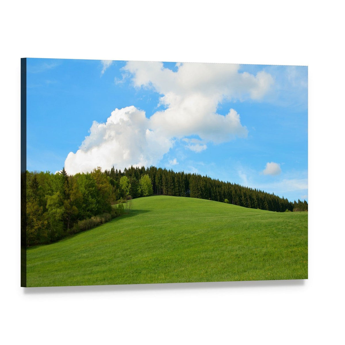 Rolling Green Hills and Forest Canvas Wall Art, single panel gallery wrapped canvas, angled product view