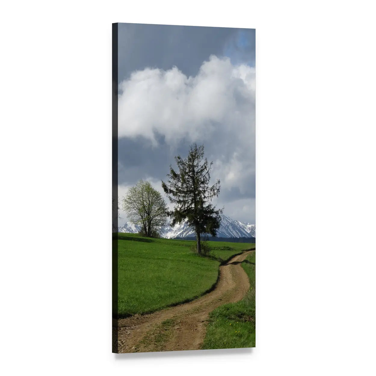 Winding Path in Tatra Bukovina Vertical Canvas Wall Art, 1 panel 1 Vertical layout gallery wrapped canvas set, angled product view